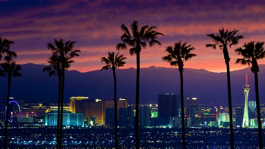 Las Vegas, Nevada with Palm trees in the foreground. Shot at Sunset.