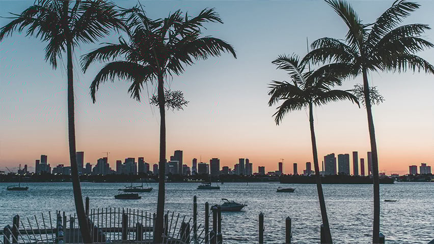 Silhouetted palm trees framing Miami's skyline at sunset, with boats anchored in the bay and a dock in the foreground.