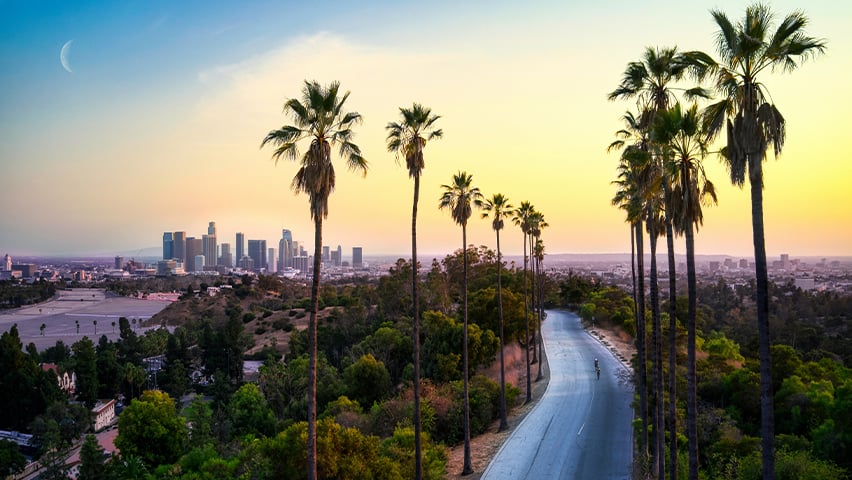 Palm tree-lined road leading toward downtown Los Angeles skyline at sunset with crescent moon visible.