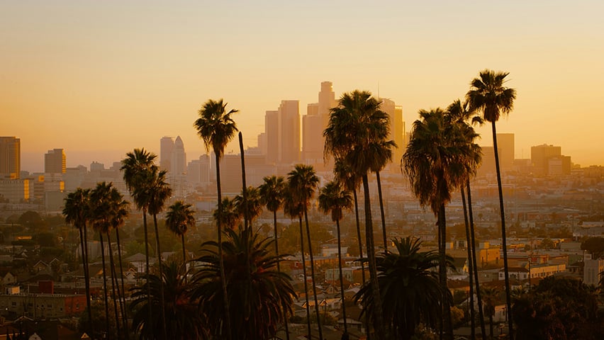 Golden hour view of downtown LA skyline silhouetted behind rows of iconic palm trees.