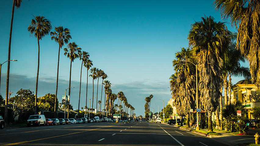 Classic palm tree-lined Los Angeles boulevard stretching into the distance at golden hour.