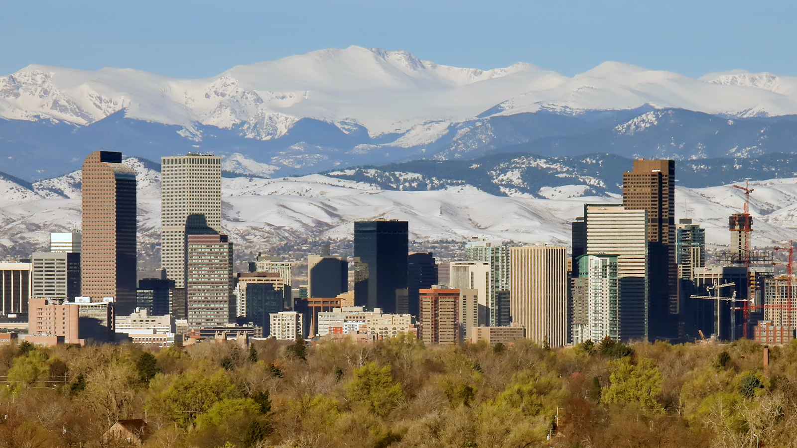 An image of downtown Denver with the Rocky Mountains in the background.