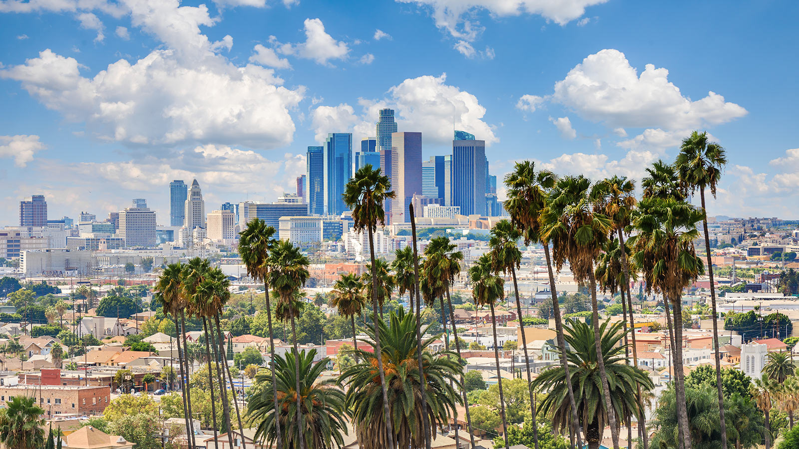 Beautiful cloudy day of Los Angeles downtown skyline and palm trees in foreground