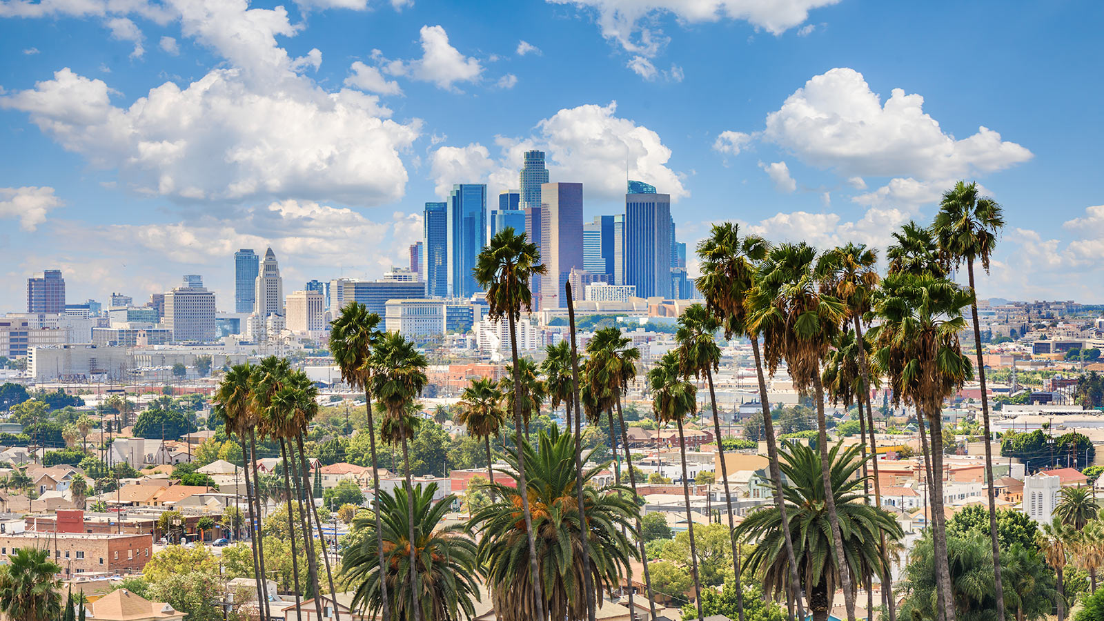 A Business Traveler’s Guide To Los Angeles