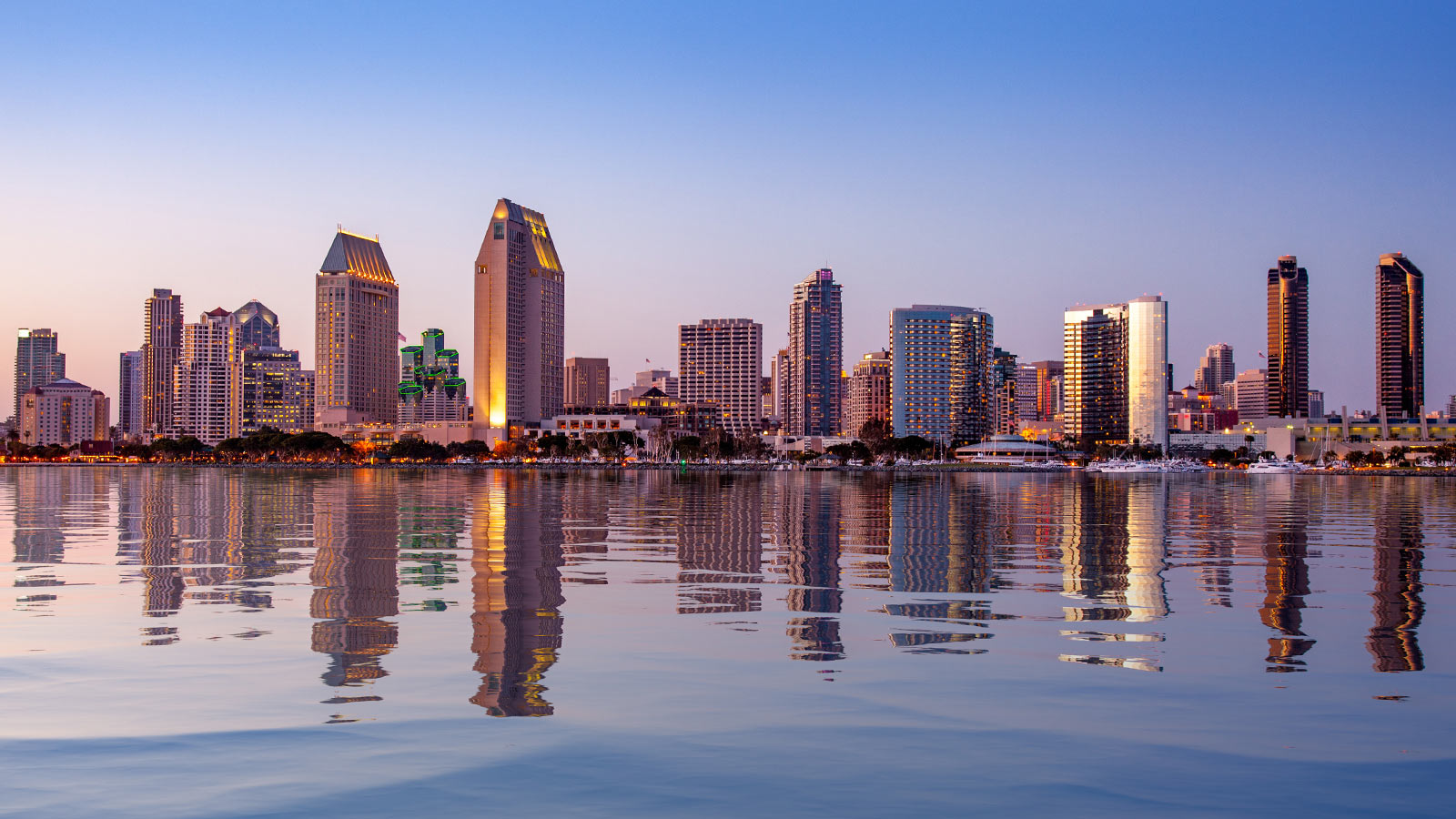 San Diego Skyline